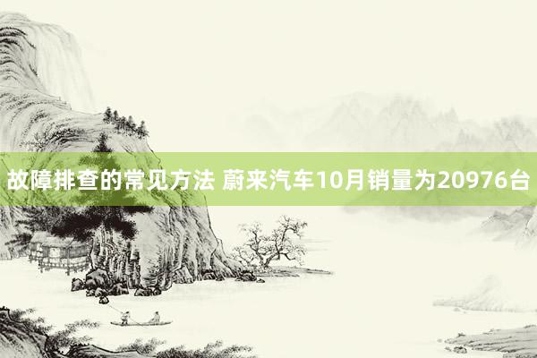 故障排查的常见方法 蔚来汽车10月销量为20976台