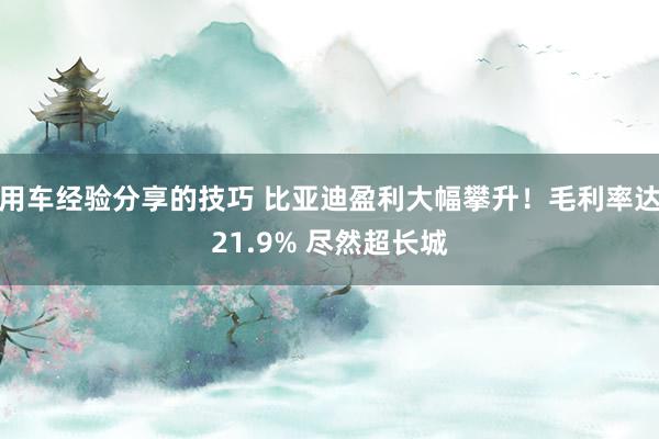 用车经验分享的技巧 比亚迪盈利大幅攀升！毛利率达21.9% 尽然超长城