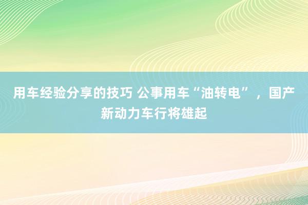 用车经验分享的技巧 公事用车“油转电” ，国产新动力车行将雄起