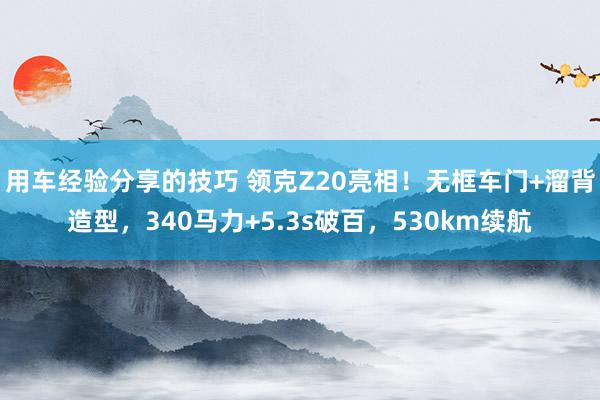 用车经验分享的技巧 领克Z20亮相！无框车门+溜背造型，340马力+5.3s破百，530km续航