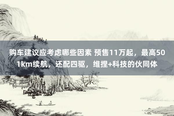 购车建议应考虑哪些因素 预售11万起，最高501km续航，还配四驱，维捏+科技的伙同体