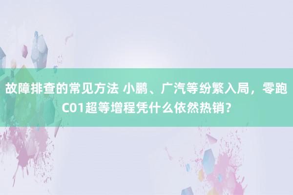 故障排查的常见方法 小鹏、广汽等纷繁入局，零跑C01超等增程凭什么依然热销？