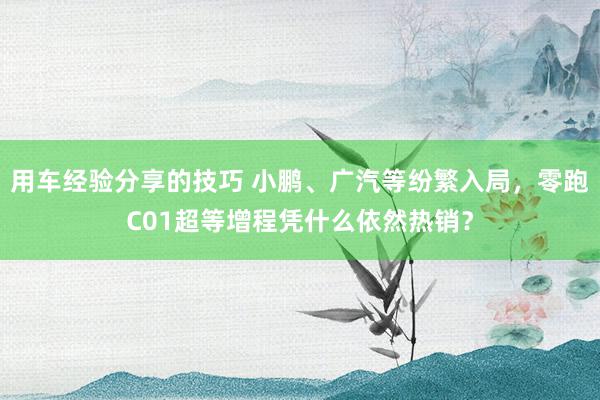 用车经验分享的技巧 小鹏、广汽等纷繁入局，零跑C01超等增程凭什么依然热销？