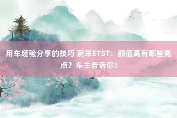 用车经验分享的技巧 蔚来ET5T：颜值高有哪些亮点？车主告诉你！