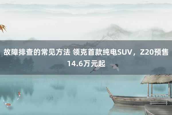 故障排查的常见方法 领克首款纯电SUV，Z20预售14.6万元起