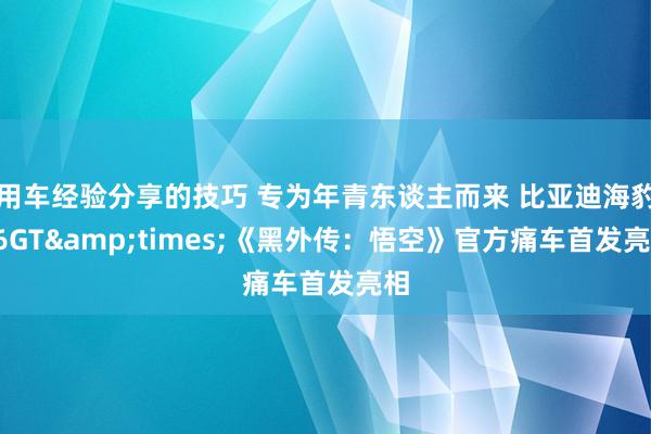 用车经验分享的技巧 专为年青东谈主而来 比亚迪海豹06GT&times;《黑外传：悟空》官方痛车首发亮相