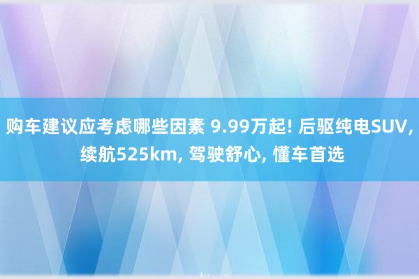 购车建议应考虑哪些因素 9.99万起! 后驱纯电SUV, 续航525km, 驾驶舒心, 懂车首选