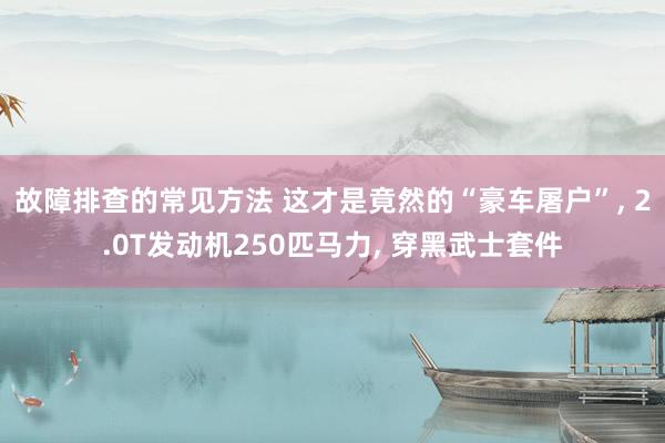 故障排查的常见方法 这才是竟然的“豪车屠户”, 2.0T发动机250匹马力, 穿黑武士套件