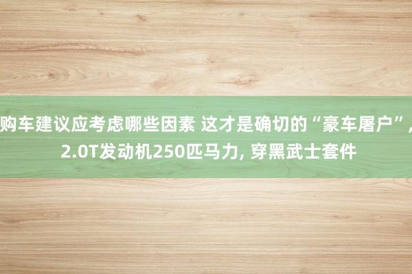 购车建议应考虑哪些因素 这才是确切的“豪车屠户”, 2.0T发动机250匹马力, 穿黑武士套件