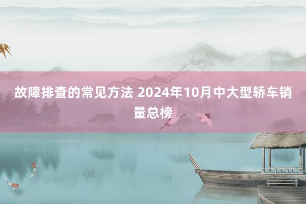 故障排查的常见方法 2024年10月中大型轿车销量总榜