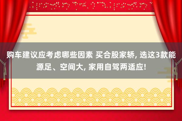 购车建议应考虑哪些因素 买合股家轿, 选这3款能源足、空间大, 家用自驾两适应!