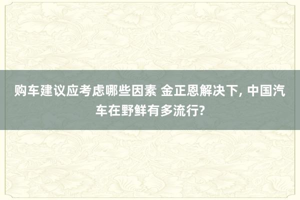 购车建议应考虑哪些因素 金正恩解决下, 中国汽车在野鲜有多流行?