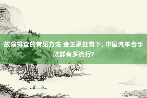 故障排查的常见方法 金正恩处置下, 中国汽车合手政鲜有多流行?