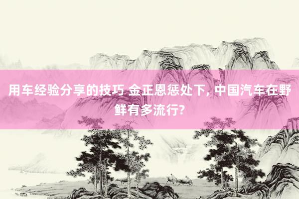 用车经验分享的技巧 金正恩惩处下, 中国汽车在野鲜有多流行?