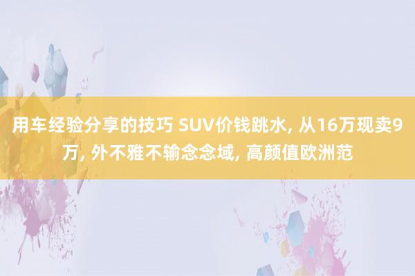 用车经验分享的技巧 SUV价钱跳水, 从16万现卖9万, 外不雅不输念念域, 高颜值欧洲范