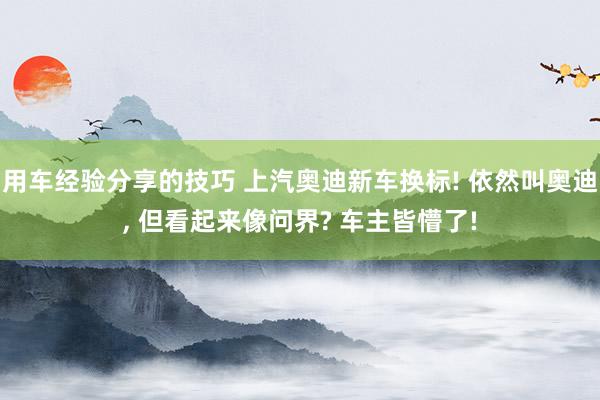 用车经验分享的技巧 上汽奥迪新车换标! 依然叫奥迪, 但看起来像问界? 车主皆懵了!