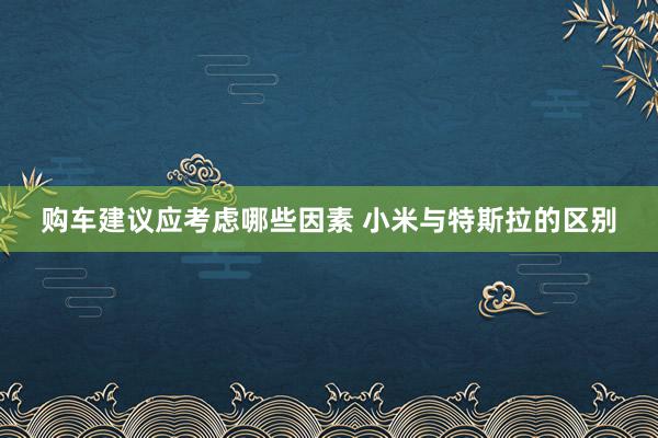 购车建议应考虑哪些因素 小米与特斯拉的区别