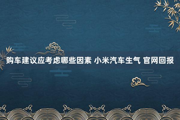 购车建议应考虑哪些因素 小米汽车生气 官网回报