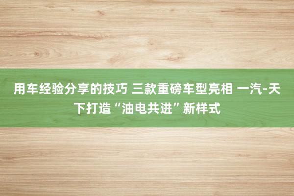 用车经验分享的技巧 三款重磅车型亮相 一汽-天下打造“油电共进”新样式