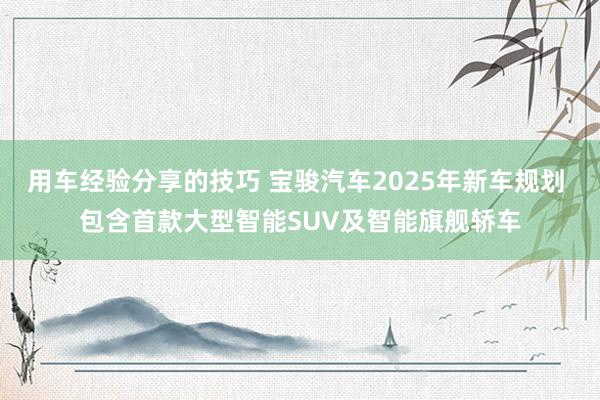 用车经验分享的技巧 宝骏汽车2025年新车规划 包含首款大型智能SUV及智能旗舰轿车