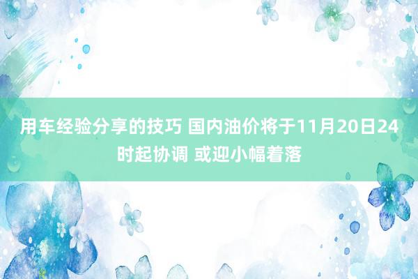 用车经验分享的技巧 国内油价将于11月20日24时起协调 或迎小幅着落