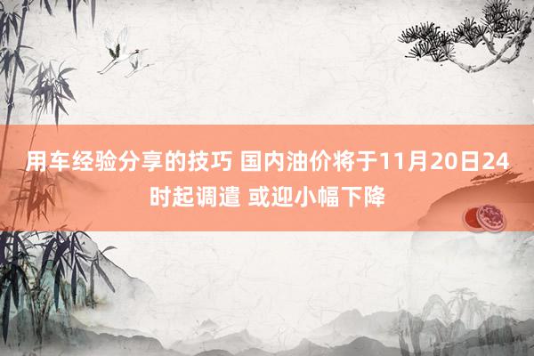 用车经验分享的技巧 国内油价将于11月20日24时起调遣 或迎小幅下降