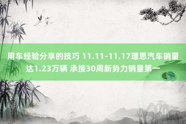 用车经验分享的技巧 11.11-11.17理思汽车销量达1.23万辆 承接30周新势力销量第一